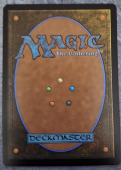 The Walls of Ba Sing Se - 0261 - Avatar: The Last Airbender TLA - MTG - NM/M - Image 2