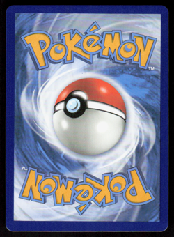 Lucario V SWSH213 Ultra Rare Pokemon Black Star Promo NM - Image 2
