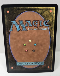 Duelist's Heritage 0153 Foil Rare - Avatar: The Last Airbender - MTG Magic - Image 2