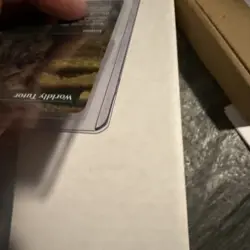 Worldly Tutor (Borderless) Dominaria Remastered Regular - Image 4