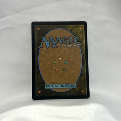 Windswept Heath [Modern Horizons 3] (MH3)(235) - Magic The Gathering - Image 3