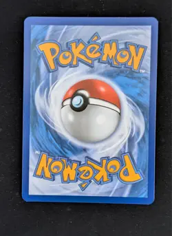 Charcadet - Pokemon Center Stamped Promo - MEG 022 - RAW NM - Image 2