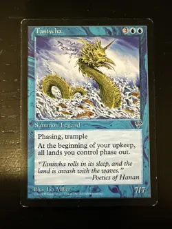 MTG magic cards 1x Taniwha Mirage Light Play, English - Image 1