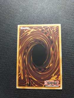Yu-Gi-Oh Alliance Insight Filia Regis Super Rare ALIN-EN037 NM!!! - Image 2