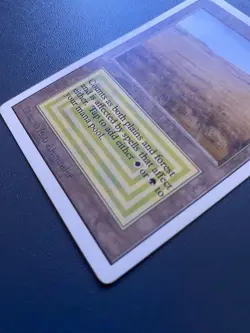 Savannah Unlimited Edition Regular - Image 2