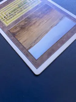 Savannah Unlimited Edition Regular - Image 3