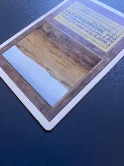 Savannah Unlimited Edition Regular - Image 4