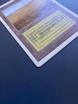 Savannah Unlimited Edition Regular - Image 5