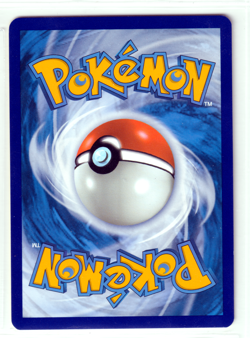 Bidoof 111/159 Crown Zenith ENGLISH Common 2023 Near Mint Pokemon - Image 2