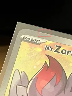 N's Zorua 189 Sv: Scarlet & Violet Promo Cards Holo NM - Image 3