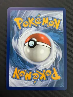 Pokemon TCG Koraidon SVP Black Star Promos SVP014 Holo Promo NM - Image 2