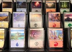 Magic The Gathering MTG Basic Land Cards - 500 Lands - 100 Of Each Color - Image 2