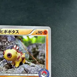 Hippopotas 159/XY-P Pokemon Center Promo HP90 Japanese Pokemon Card #7675 - Image 2