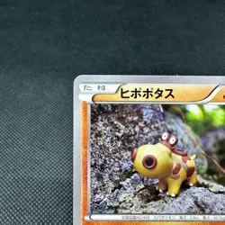 Hippopotas 159/XY-P Pokemon Center Promo HP90 Japanese Pokemon Card #7675 - Image 3