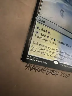 MTG Adarkar Wastes DMU 243/281 R NM Foil - Image 3