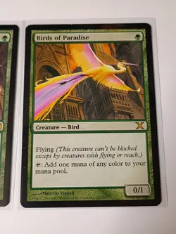 Birds of paradise X2 MTG - Image 3