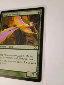 Birds of paradise X2 MTG - Image 4