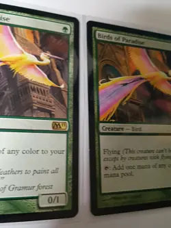 Birds of paradise X2 MTG - Image 5