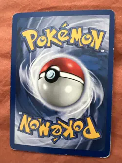 Pidgeot Non-Holo Rare 24/64 Jungle Set Pokemon Card MP Vintage FREE POSTAGE - Image 2