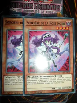 YU-GI-OH! COM PLAYSET (LOT DE 2) SORCIERE DE LA ROSE NOIRE LED4-FR030 NEUF ED1 - Image 1