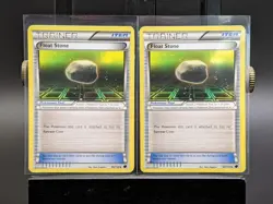 TCG Pokemon Float Stone (x2) 99/116 Plasma Freeze Non-Holo Regular 2013: LP/MP - Image 1