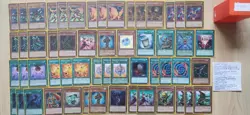 Zwilling Pflanze Normalbeschworung Yu-Gi-Oh! Deck + Hullen - Image 1