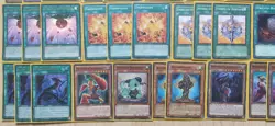 Zwilling Pflanze Normalbeschworung Yu-Gi-Oh! Deck + Hullen - Image 4