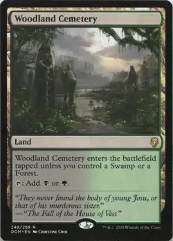 Woodland Cemetery R Dominaria 248 LP-NM MTG - Image 1