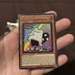 Yugioh! Marshmao☆Yummy DOOD-EN024 Secret Rare 1st Edition NM - Image 1