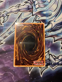 Black Rose Dragon (UTR) CSOC-EN039 Crossroads of Chaos Unlim (Light Play) - Image 4
