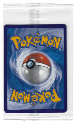 [Zeraora V] 218/S-P Pokemon Unite Promo Sealed Simplified Chinese Card TCG - Image 2