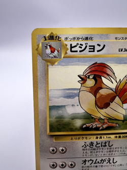 Pokemon Card Pidgeotto Base Set no.017 NO RARITY WOTC Vintage Japanese. - Image 2