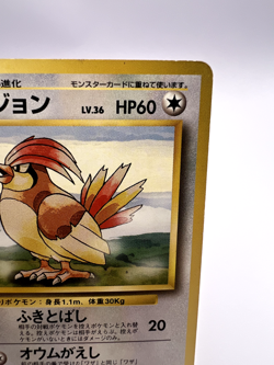 Pokemon Card Pidgeotto Base Set no.017 NO RARITY WOTC Vintage Japanese. - Image 3