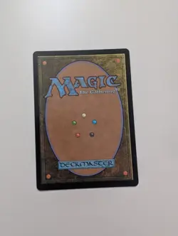 MTG - The Apprentice's Folly - Wilds of Eldraine NM/M Condition - Image 4