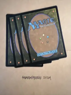 MTG Snow-Covered Plains X4 MH1 250/254 L NM Regular Playset - Image 5