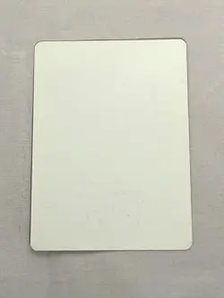 MTG Martyrdom Artist Proof and Signature Signed Poole - Image 2