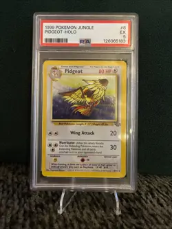 Pokemon Jungle Pidgeot Holo 8/64 PSA 5 - Image 1