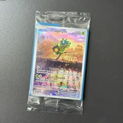 SEALED Pokemon Teal Mask Ogerpon Black Star Promo w/Dividers Twilight Masquerade - Image 1