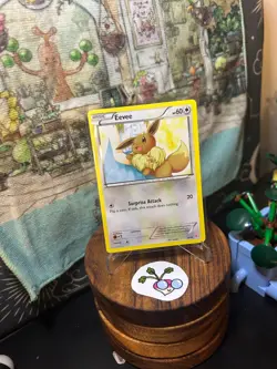 Pokemon TCG - Eevee (Regular) - XY Trainer Kit - 13/30 - Image 1