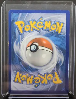 Arceus V SWSH204 SWSH: Sword & Shield Black Star Promo Card Holo NM - Image 2