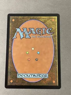 Hedge Maze (Borderless) MTG Murders at Karlov Manor Regular NM - Image 2