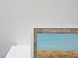 C0729 MTG Revised "Scrubland Land (Light Play) (C) (Authentic)" Single & Sleeves - Image 5