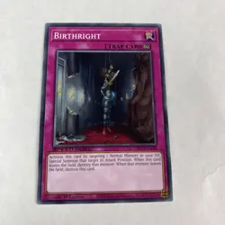 Yugioh Birthright SBC1-ENG18 1st Edition Speed Duel Streets of Battle City - Image 1