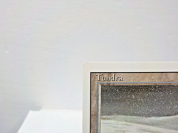 C0729 MTG Revised "Tundra Land (Light Play) (B) (Authentic)" Single & Sleeves - Image 5