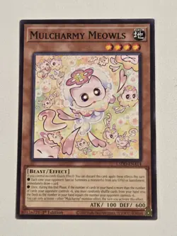 Mulcharmy Meowls L5DD-ENA14 (IN HAND) Common Yugioh 1st Edition Legendary 5D's - Image 1