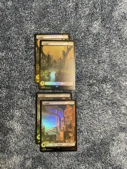 Assassin's Creed - FOIL Full Art Lands Complete Set of 10 Cards - MTG M/NM - Image 3