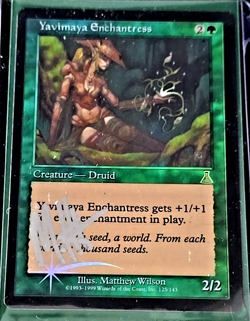 MTG ~ YAVIMAYA ENCHANTRESS FOIL ~ AUTOGRAPHED MATTHEW WILSON ~ URZA''S DESTINY - Image 1