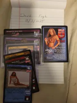 WWE Raw Deal CCG : Nida card lot (full Set) - Image 1