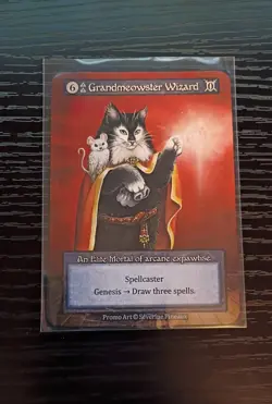 Grandmeowster Wizard Non-foil Sorcery Contested Realm Welcome Kit Promo - Image 1