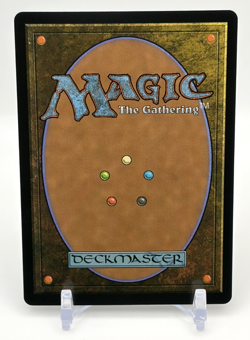 MTG: Avatar - Aang's Shelter Teferi's Protection (Borderless) (FOIL)- M #0007 - Image 2